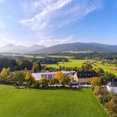 Haus Chiemgau - Kolping-Familienhotel Тайзендорф Экстерьер фото